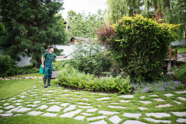 Best Mosquito Control Services  in King George, VA