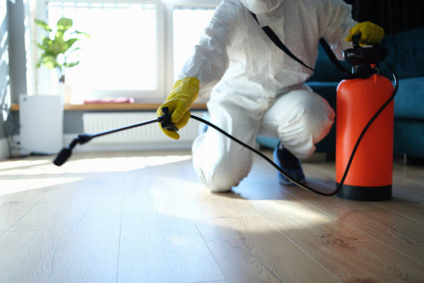 Reliable King George, VA Pest Control Solutions