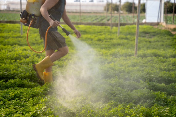 Best Pest Prevention Services  in King George, VA